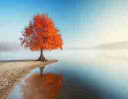 定‍制‌图​片‌怎﻿么‍做​的﻿